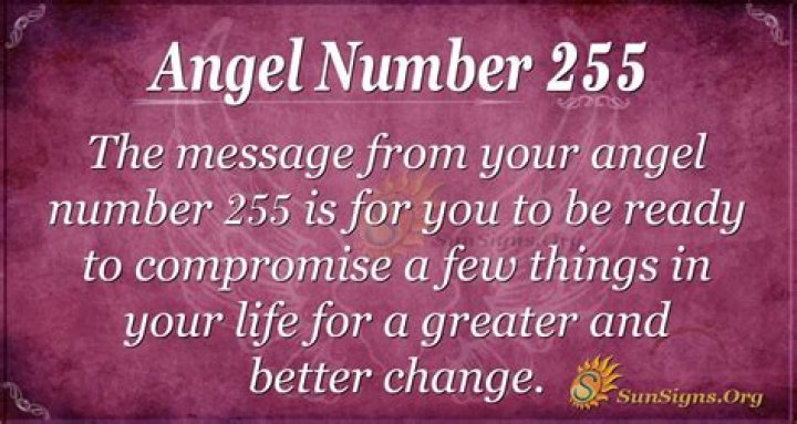 255 angel number