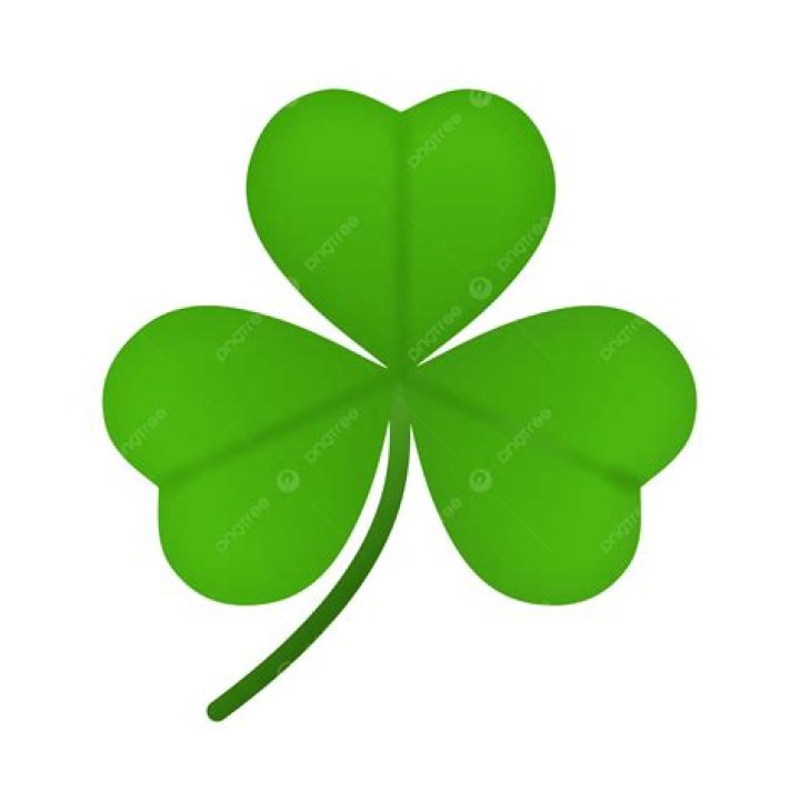 3 leaf clover