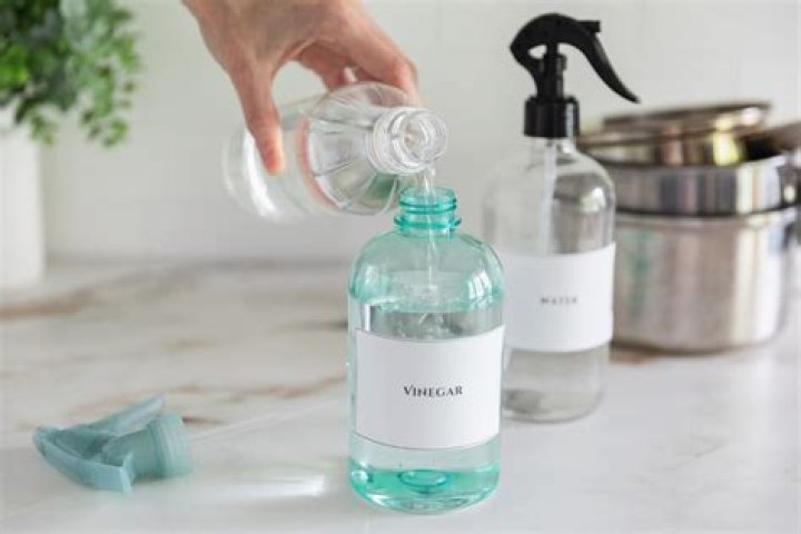 ammonia vs vinegar for cleaning