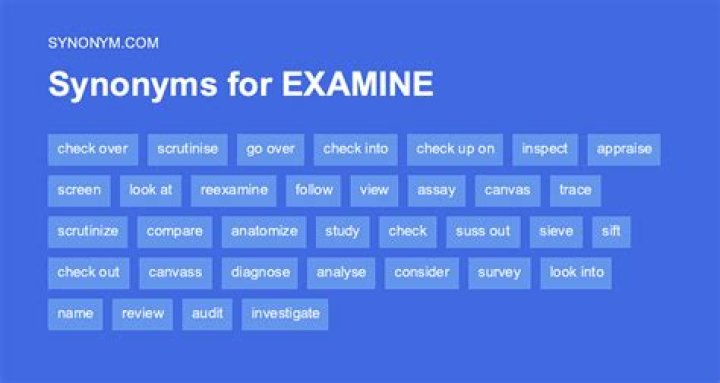 another word for examine