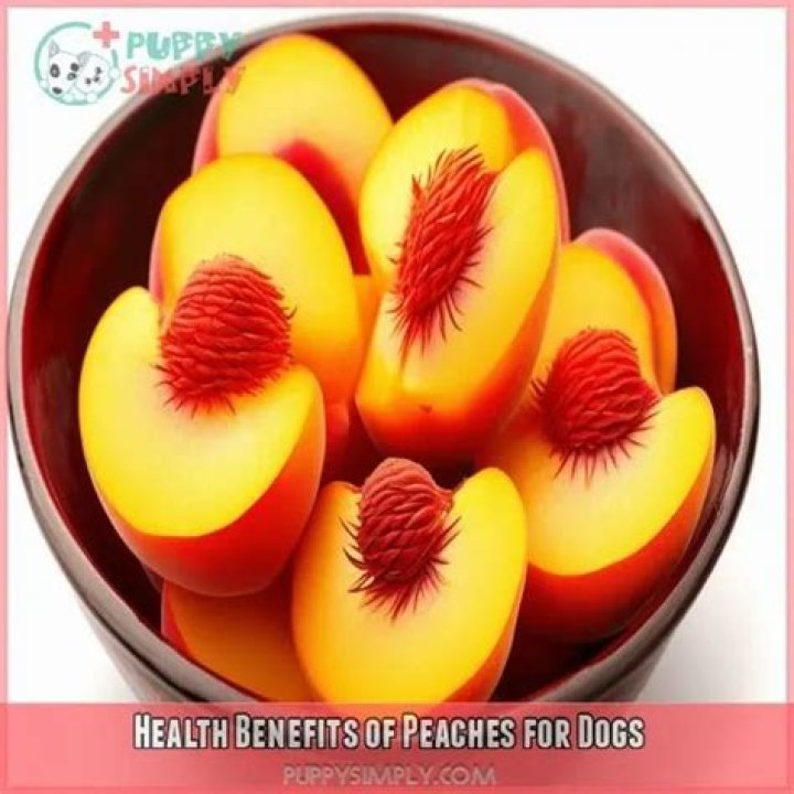are peaches good for dogs