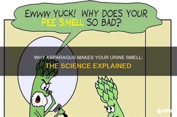 asparagus pee smell