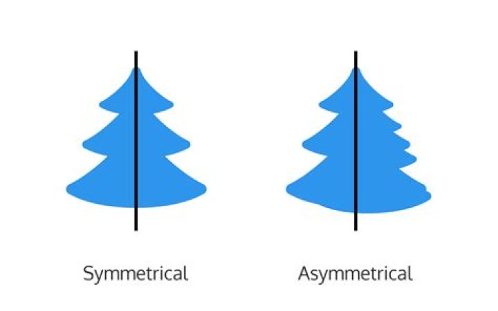asymmetry definition