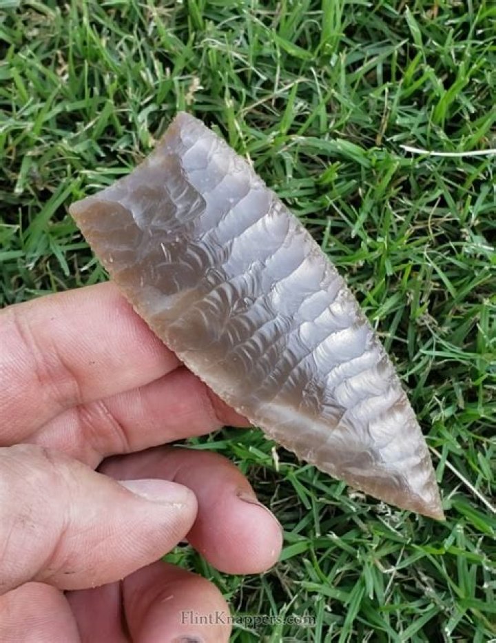 banded clovis