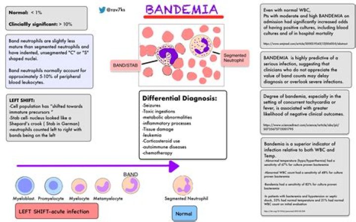 bandemia