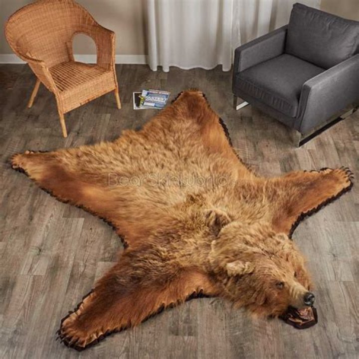 bear rug