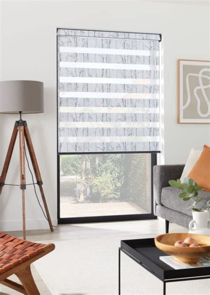 blinds on the go