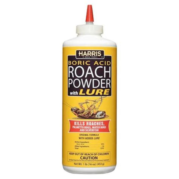 boric acid home depot