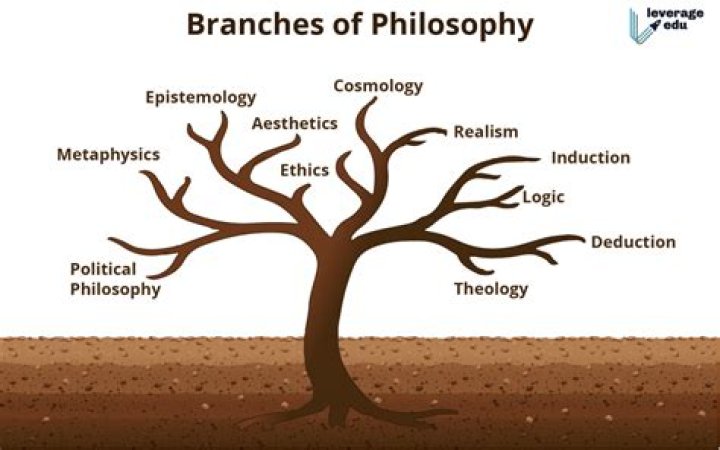 branches of philosophy