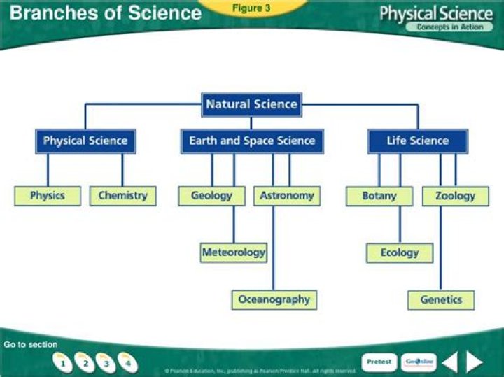 branches of science