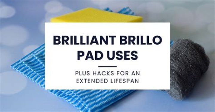 brillo pad