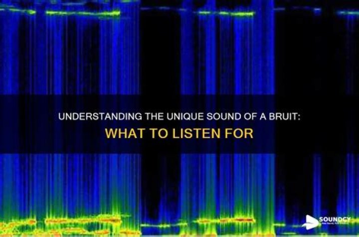 bruit sound