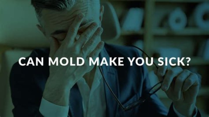 can mold make you sick