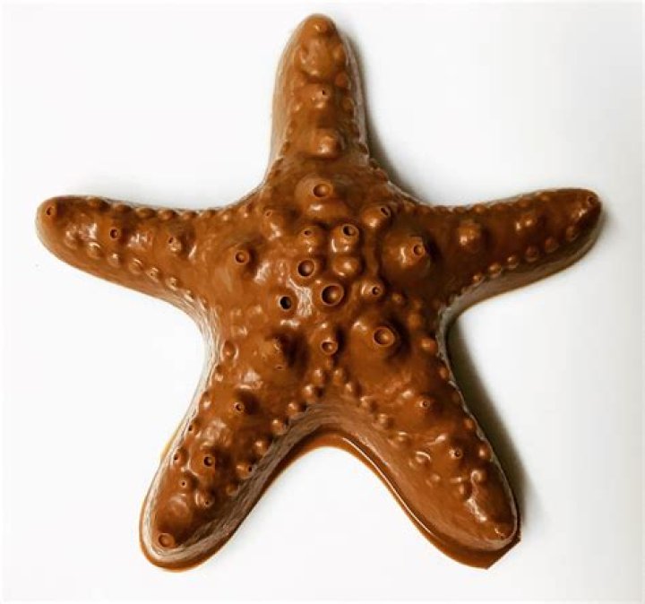 chocolate starfish