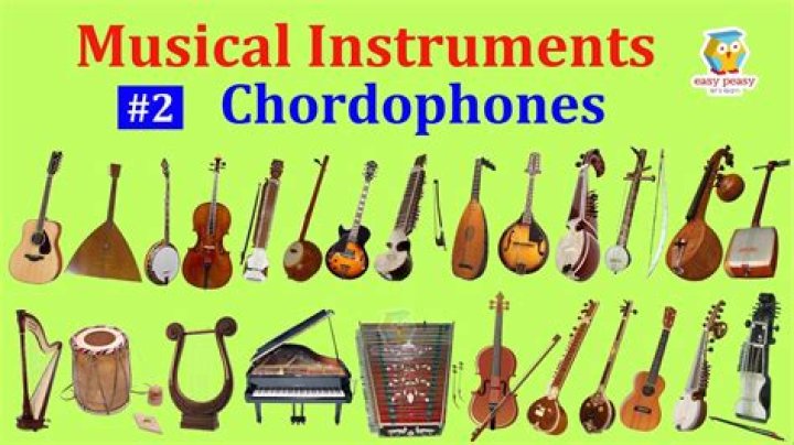 chordophones