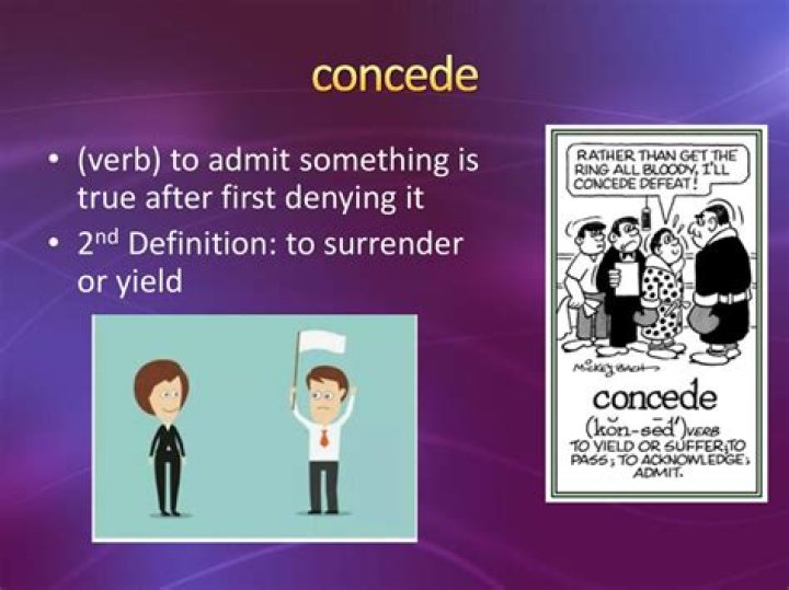 concede meaning