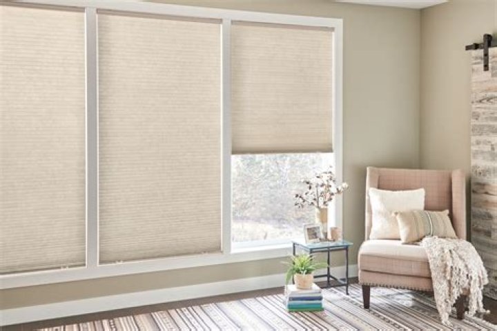 costco blinds