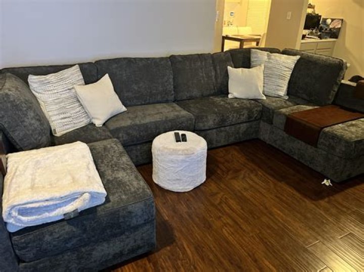 costco lovesac