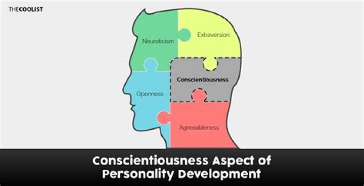 define conscientious