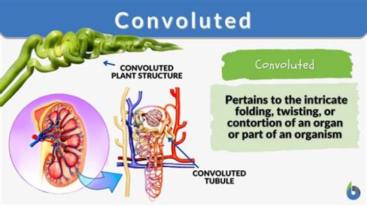 define convoluted