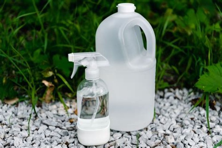 does vinegar kill weeds