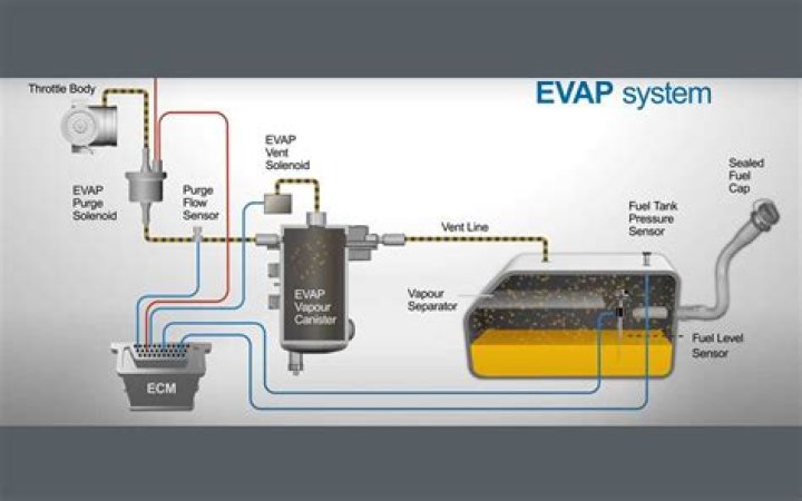 evaporative emission system