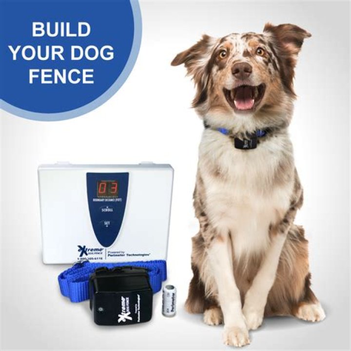 extreme dog fence