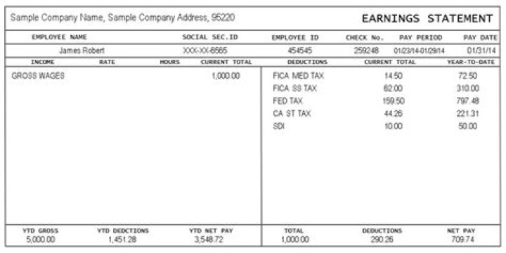 fake pay stubs