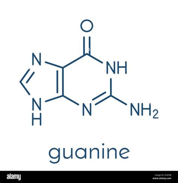 guanine structure