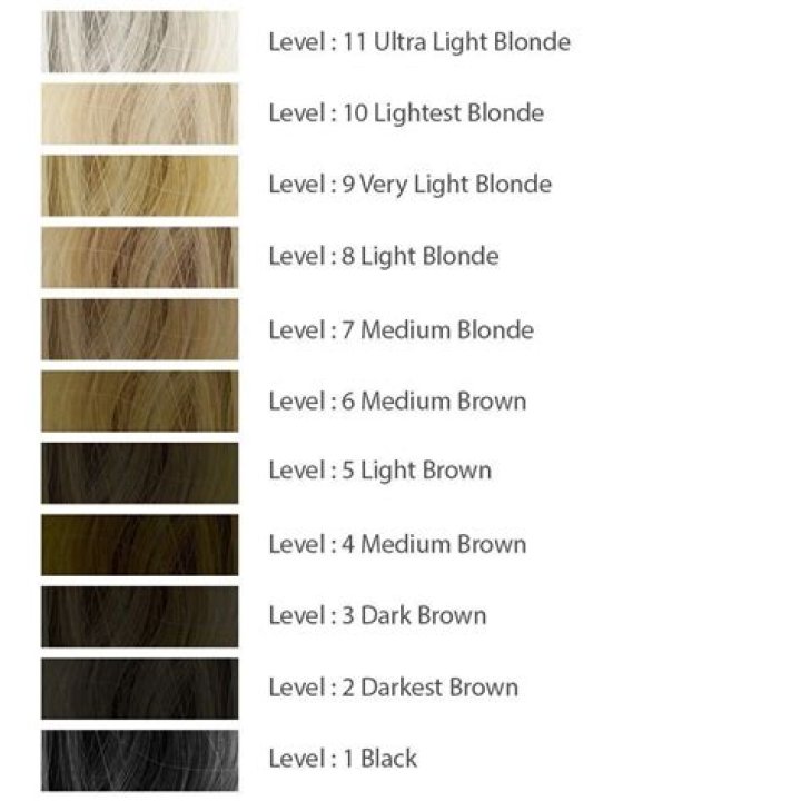 hair color levels