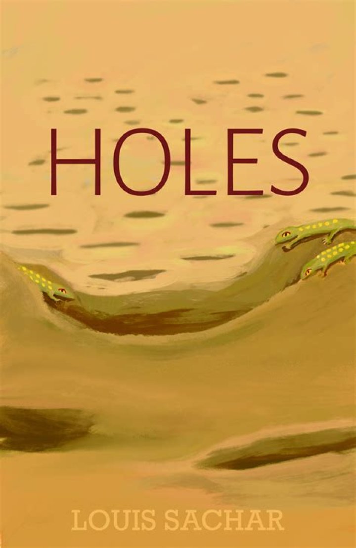 holes book