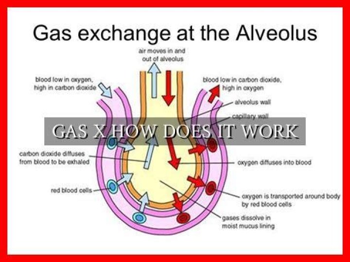 how does gas x work