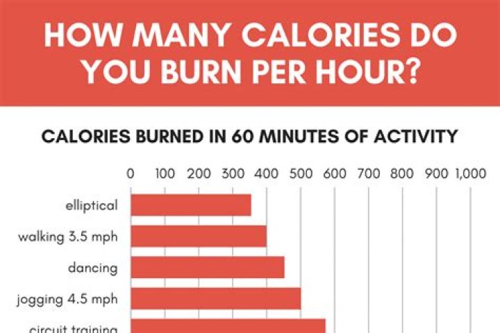 how many calories should i burn a day