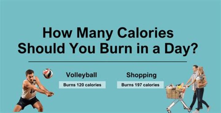 how many calories should i burn in a day