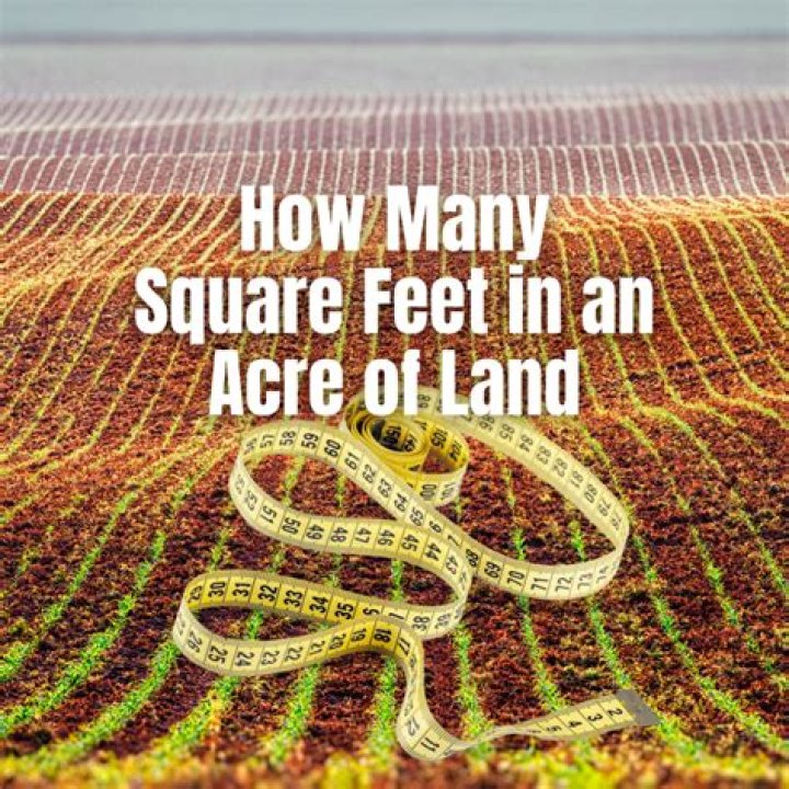 how many feet is 10 yards