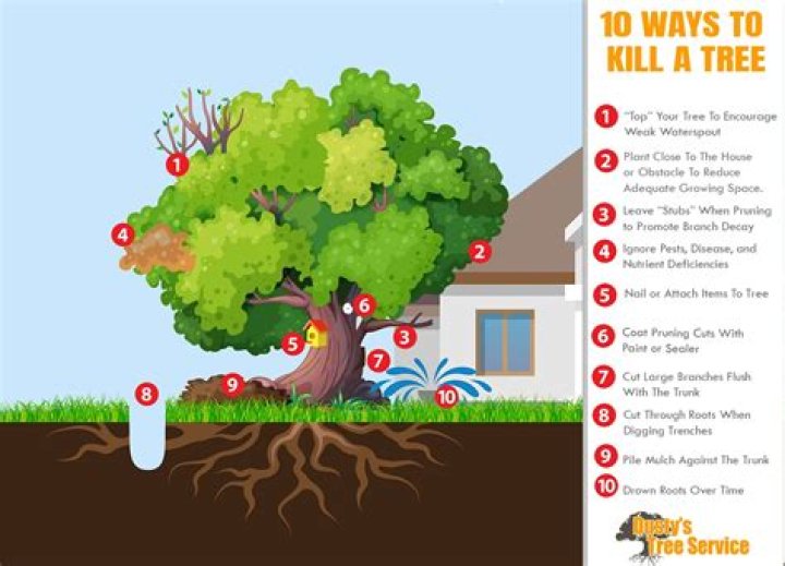 how to kill a tree