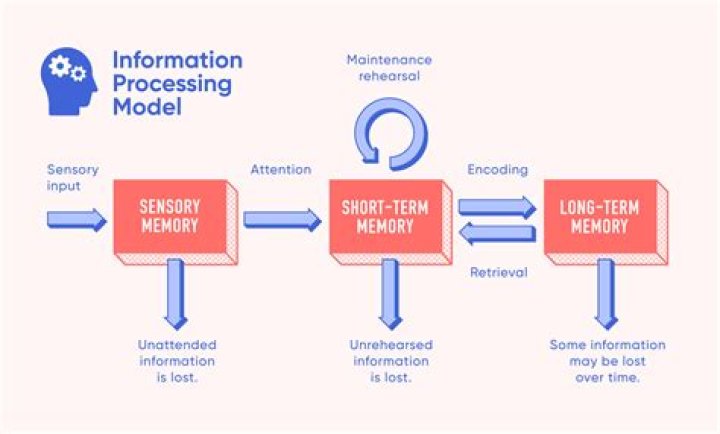 information processing model