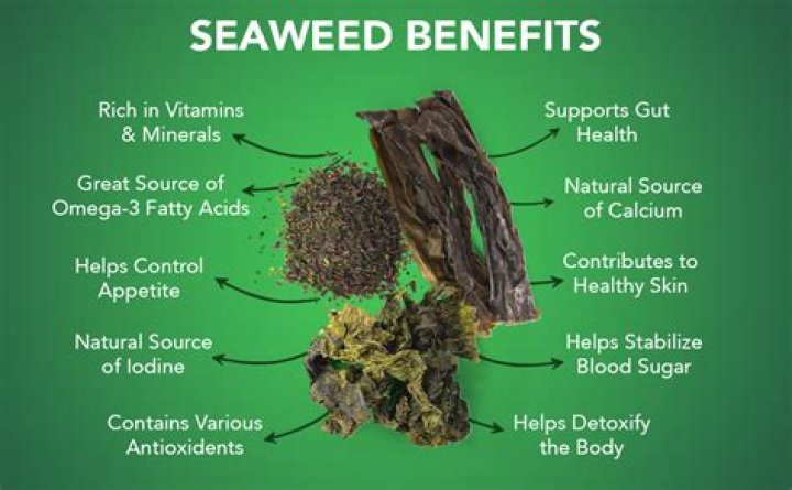 is seaweed good for you