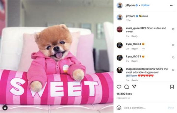 jiffpom