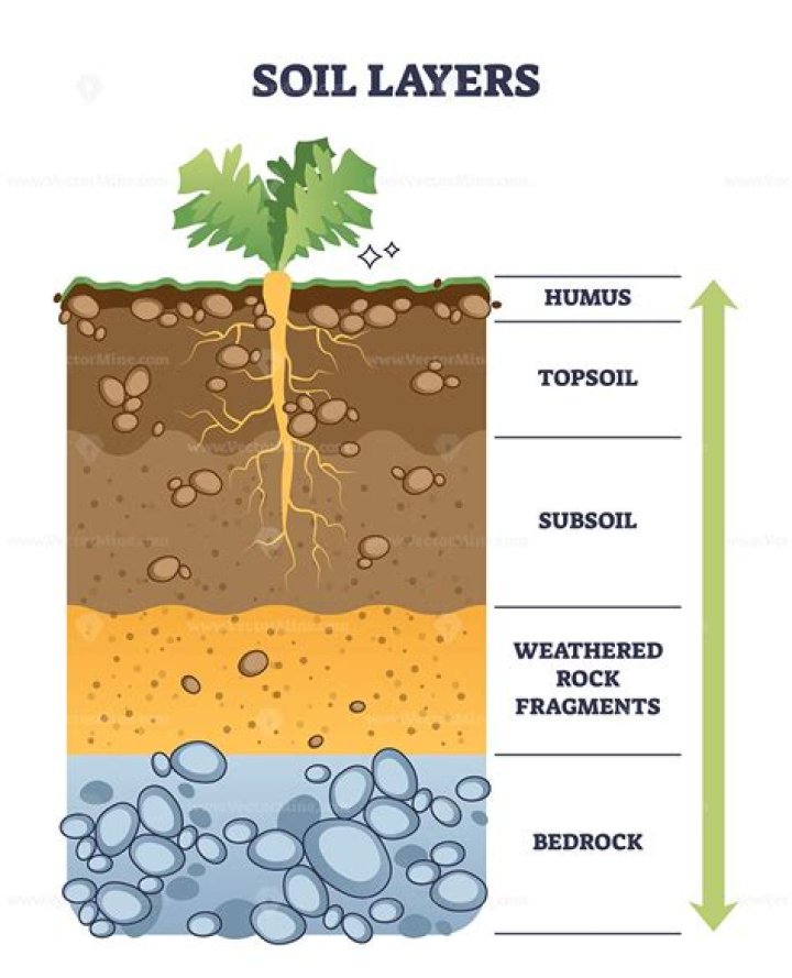 layers of soil diagram