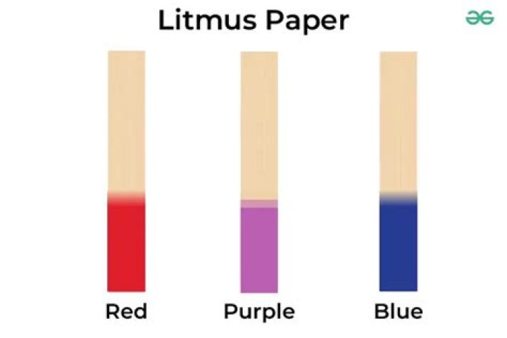 litmus paper