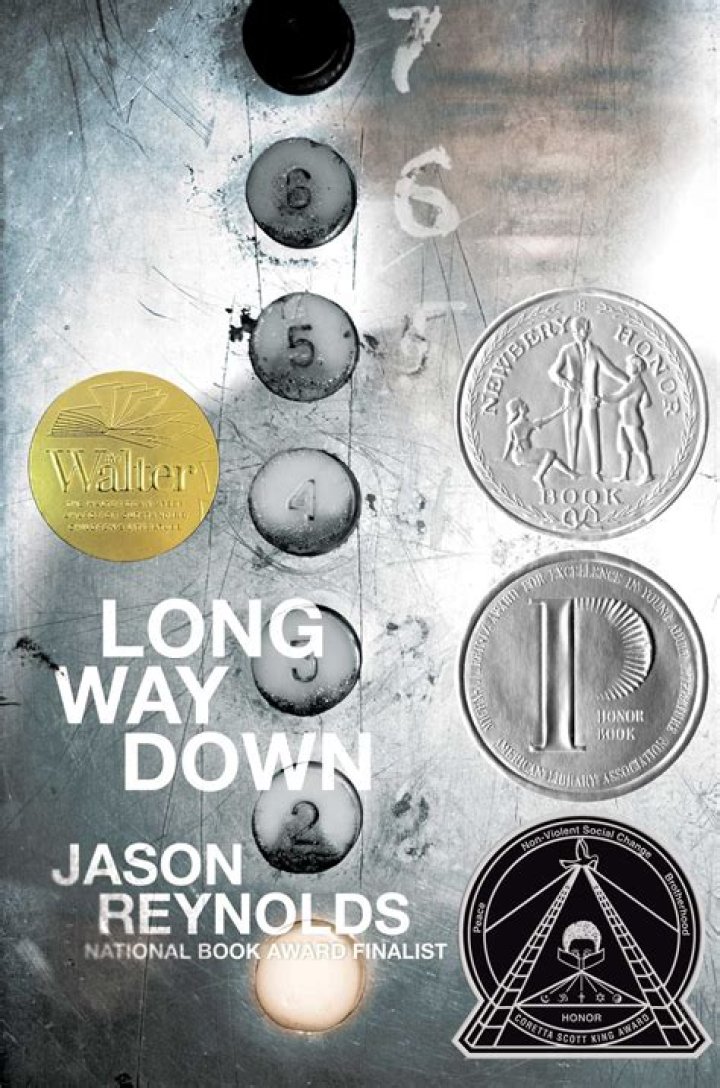 long way down book