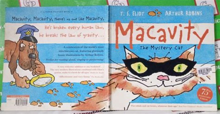 macavity
