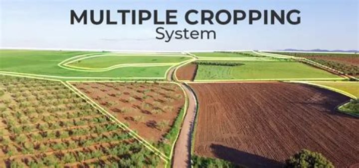 multiple cropping refers to