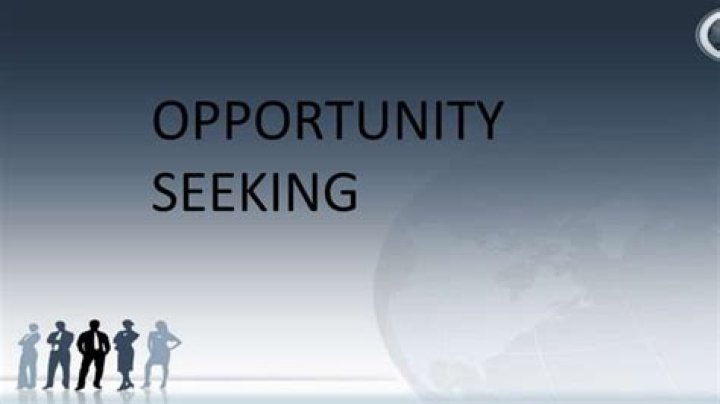 opportunity seeking