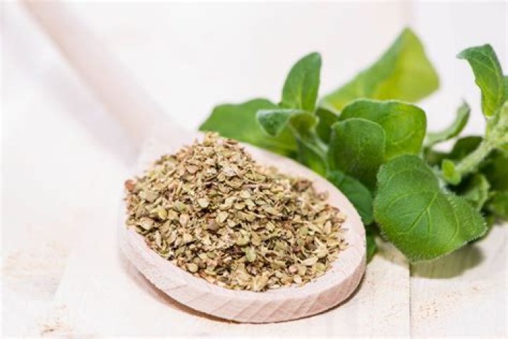 oregano substitute