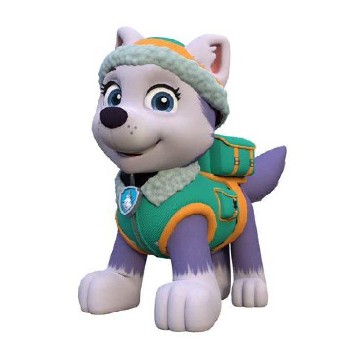paw patrol everest