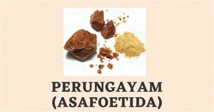 perungayam in english