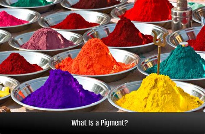 pigment definition