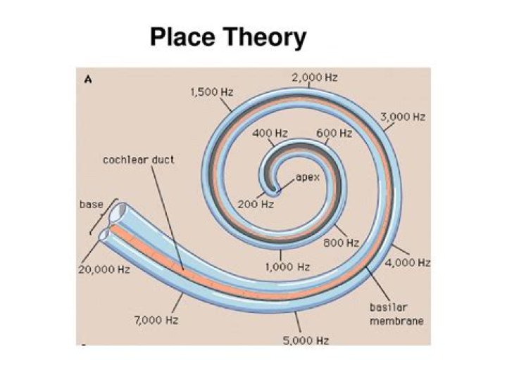 place theory